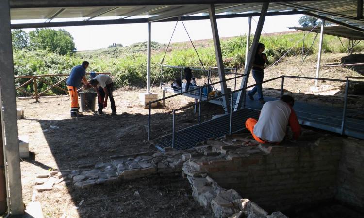 "Ri-scopriamo i siti archeologici delle Marche": al via il nuovo progetto della Pars onlus