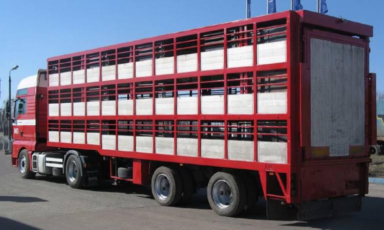 Formazione - Confartigianato e Asur Macerata insieme per i corsi professionali sul trasporto ed il benessere degli animali vivi