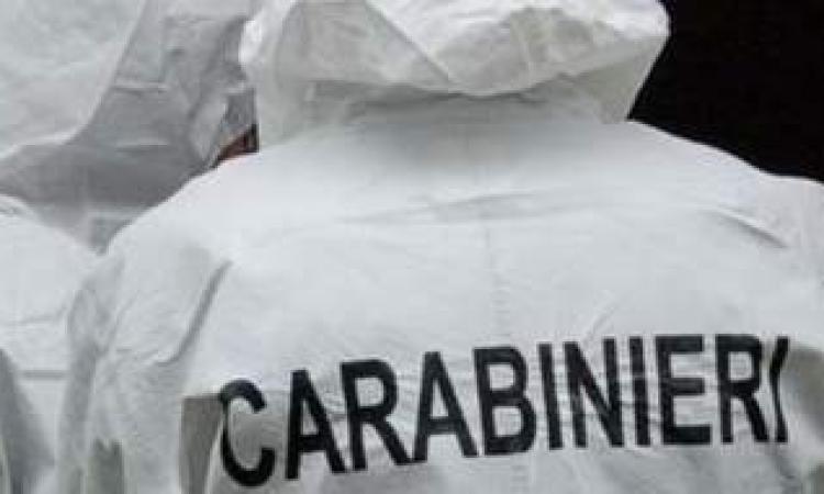 Morto durante la rapina, i Ris sulle tracce della banda Morto durante la rapina, i Ris sulle tracce della banda