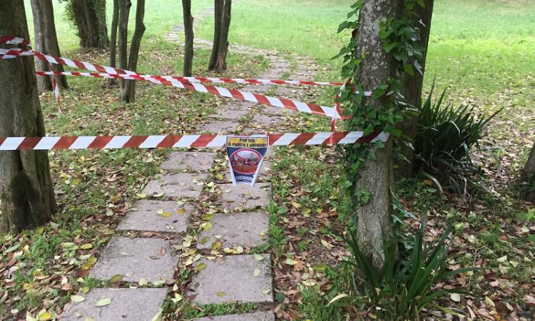 "Per voi il parco è chiuso", ingressi "sigillati" e volantini contro sindaco e Giunta firmati Casapound "Per voi il parco è chiuso", ingressi "sigillati" e volantini contro sindaco e Giunta firmati Casapound