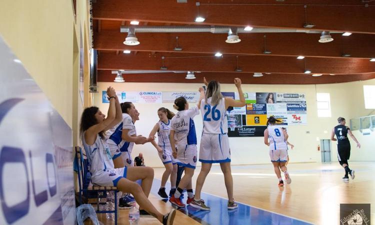 L'Infa Feba Civitanova Marche senza paura a Palermo per la semifinale play-off