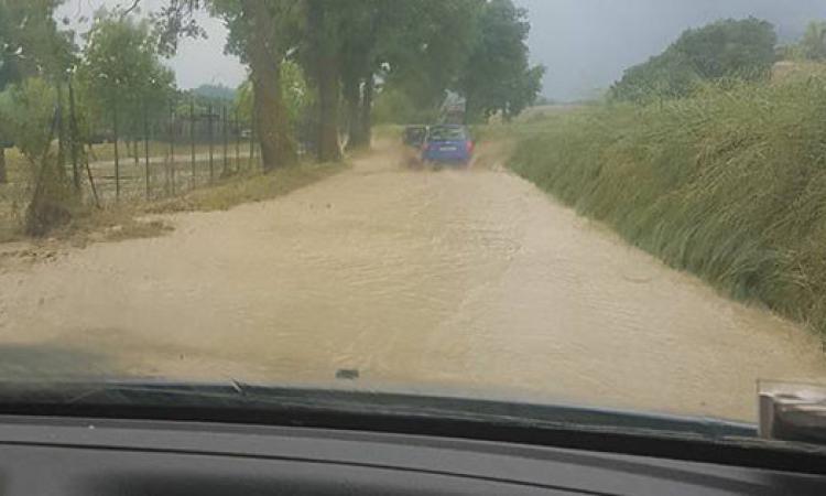 Bombe d'acqua nell'entroterra. A Camerino allagato il palazzetto delle Calvie (VIDEO e FOTO) Bombe d'acqua nell'entroterra. A Camerino allagato il palazzetto delle Calvie (VIDEO e FOTO)