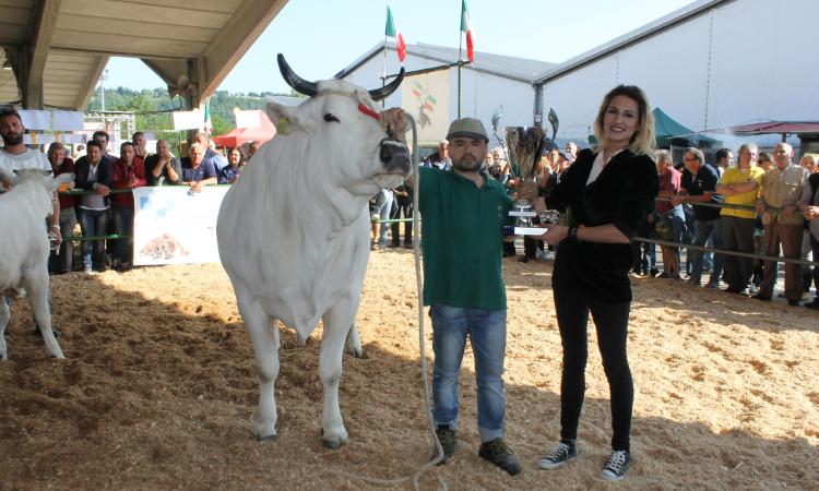 La Best in Show della Raci è proprio... Bella!