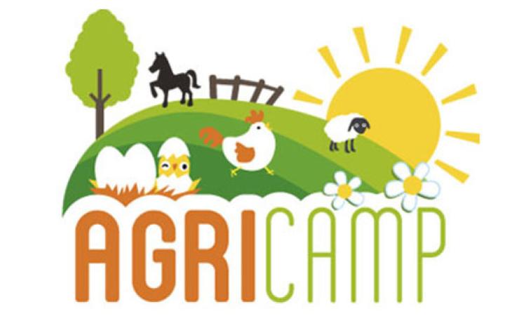 Il centro estivo Agricamp dal 18 giugno al 27 luglio a Chiesanuova di Treia