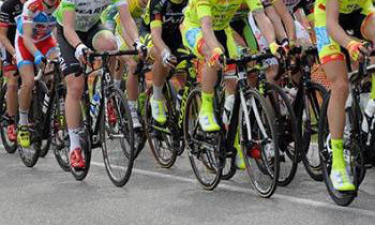 Da Cingoli ad Osimo in bici: una pedalata amatoriale organizzata da Banca Mediolanum