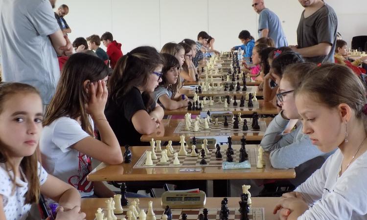 Scacchisti settempedani sugli scudi, tre sul podio alle finali regionali Scacchisti settempedani sugli scudi, tre sul podio alle finali regionali