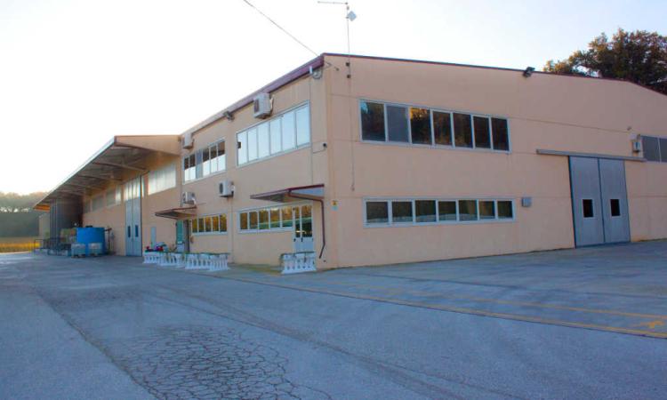 San Severino, rubati concimi chimici alla Choncimer: bottino di oltre 200000 euro San Severino, rubati concimi chimici alla Choncimer: bottino di oltre 200000 euro
