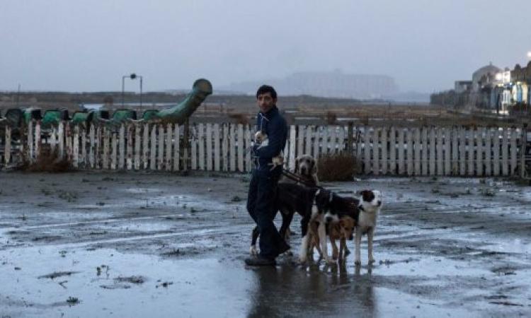 Al cinema Rossini da sabato 26 maggio "Solo: A Star Wars Story" e "Dogman"
