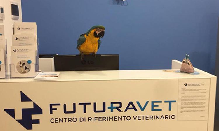 Franky sta meglio e torna a casa: presto potrà di nuovo volare libera - VIDEO Franky sta meglio e torna a casa: presto potrà di nuovo volare libera - VIDEO