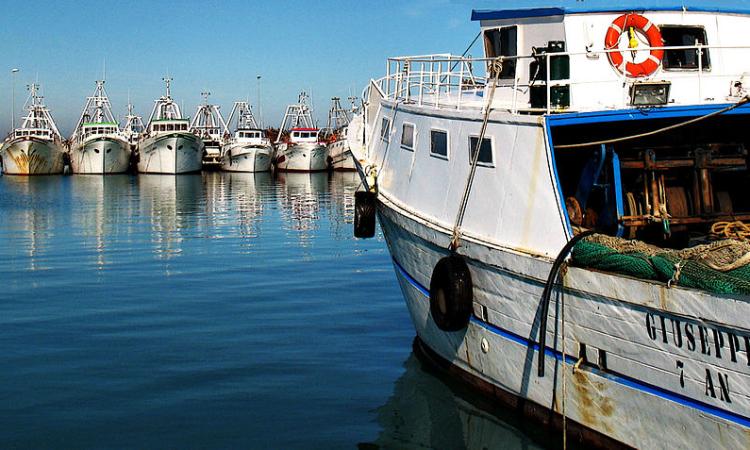 Civitanova: prova a rubare tra le barche, ma non sfugge ai pescatori