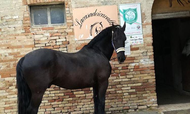 Con Lacasadeicavalli centro estivo all'Abbadia di Fiastra