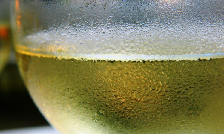 Verdicchio con il trucco, sequestrati 150mila litri di vino Verdicchio con il trucco, sequestrati 150mila litri di vino
