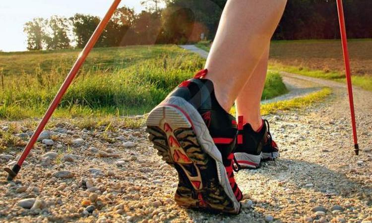 Apre il Nordic Walking Park della Riserva naturale regionale del Monte San Vicino e del Monte Canfaito