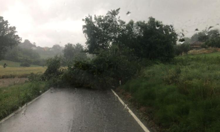 Pioggia e trombe d'aria: Macerata nella morsa del maltempo. Chiusa la Strada della Pace (FOTO) Pioggia e trombe d'aria: Macerata nella morsa del maltempo. Chiusa la Strada della Pace (FOTO)