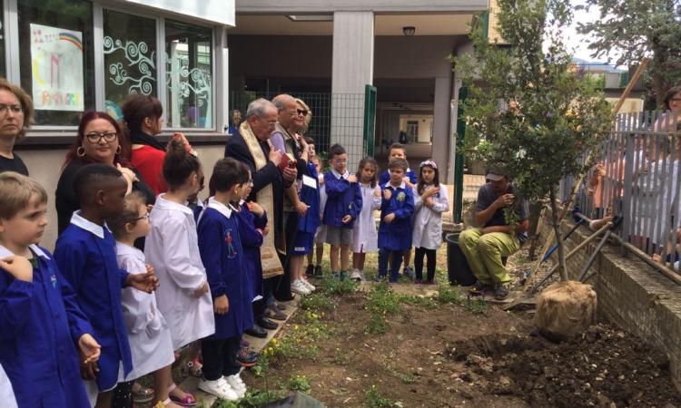 Castelraimondo: cresce il Bosco della scuola elementare De Amicis Castelraimondo: cresce il Bosco della scuola elementare De Amicis
