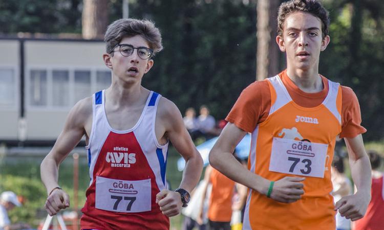 Brillanti risultati dal settore giovanile per l’AVIS Macerata