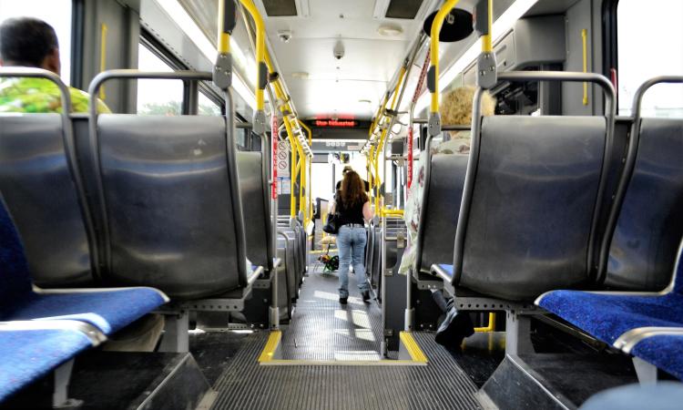 Scorribande sull'autobus per la spiaggia, identificati 5 baby bulli Scorribande sull'autobus per la spiaggia, identificati 5 baby bulli