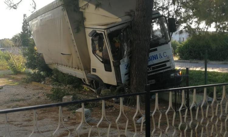 Fontenoce, perde il controllo del camion per colpa di un'ape e finisce contro un albero