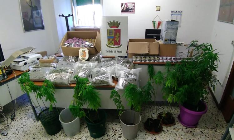 "Cannabis light shop”, sequestrati stupefacenti nei negozi: un arresto - FOTO e VIDEO "Cannabis light shop”, sequestrati stupefacenti nei negozi: un arresto - FOTO e VIDEO