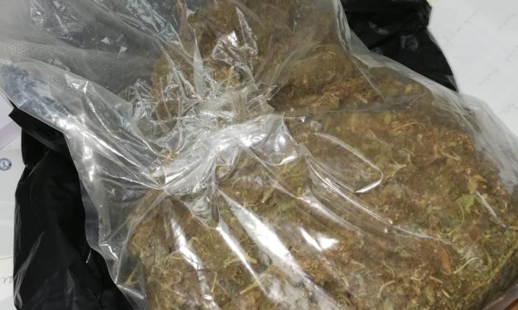Controlli antidroga, sequestrato mezzo chilo di marijuana: arrestato un 21enne