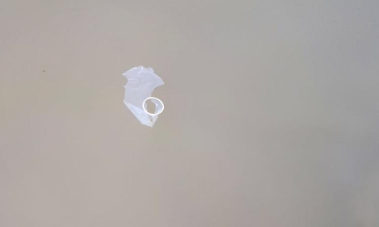 Civitanova, i resti di un amore tra le onde: condom in riva al mare