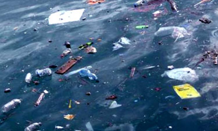 Incentivi per chi recupera plastica in mare: approvata la proposta di Elena Leonardi (Fratelli d'Italia)