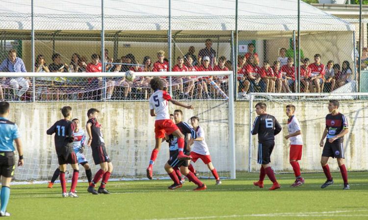 Calcio giovanile, l'Academy Civitanovese vince il Trofeo Marche