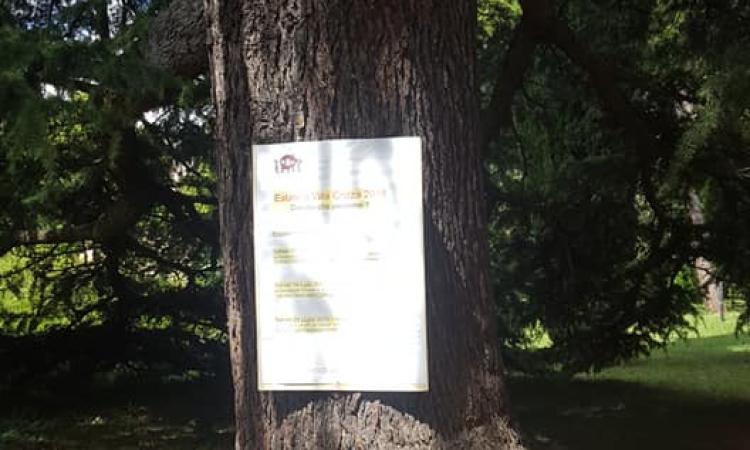 Pubblicità affisse sugli alberi di Villa Cozza, le perplessità dei cittadini