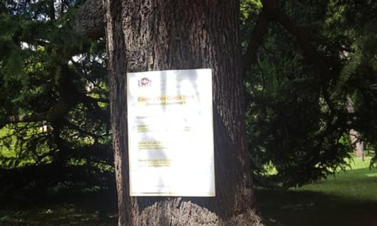 Pubblicità affisse sugli alberi di Villa Cozza, le perplessità dei cittadini Pubblicità affisse sugli alberi di Villa Cozza, le perplessità dei cittadini