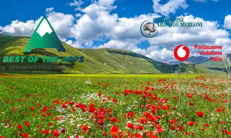 Save the Apps: Fondazione Merloni e Fondazione Vodafone Italia insieme per rilanciare l’economia dell’Appennino - VIDEO Save the Apps: Fondazione Merloni e Fondazione Vodafone Italia insieme per rilanciare l’economia dell’Appennino - VIDEO