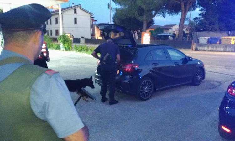 Macerata, continuano i servizi straordinari dei carabinieri su tutto il territorio Macerata, continuano i servizi straordinari dei carabinieri su tutto il territorio