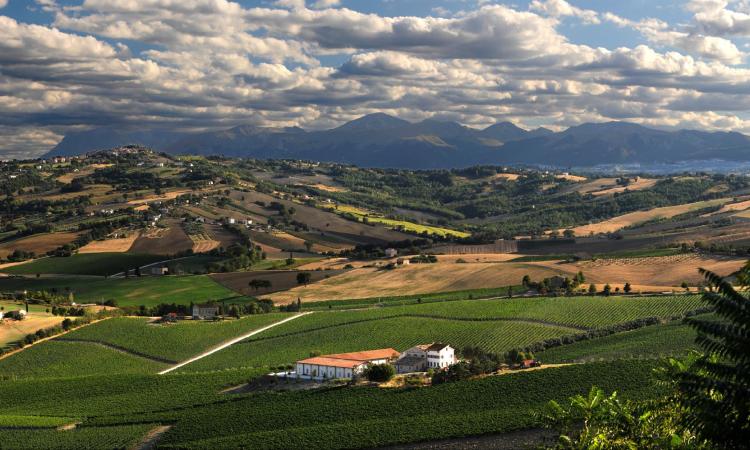 Macerata, gli artisti dello Sferisterio ospiti delle Cantine Muròla per Il canto e la vite Macerata, gli artisti dello Sferisterio ospiti delle Cantine Muròla per Il canto e la vite