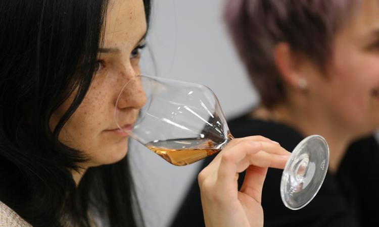 Al via venerdì il Verdicchio Matelica Festival: degustazioni, musica e convegno per il 51° della Doc Al via venerdì il Verdicchio Matelica Festival: degustazioni, musica e convegno per il 51° della Doc