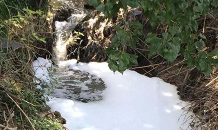 Schiuma bianca in un ruscello di contrada Valteia a Macerata: interviene l'Arpam - VIDEO