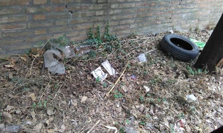 Incuria e degrado al cimitero di Macerata: a vuoto decine di segnalazioni (Foto) Incuria e degrado al cimitero di Macerata: a vuoto decine di segnalazioni (Foto)