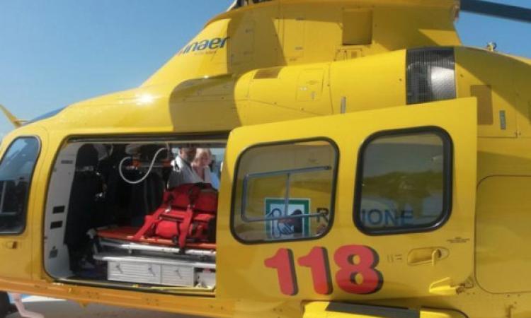 Tolentino, bambino cade dall'albero e finisce all'ospedale
