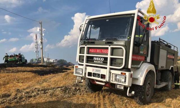 Tolentino, in fiamme sterpaglie e colture: paura per il bosco vicino - FOTO