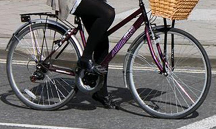 Porto Recanati, la sorprendono in sella ad una bici rubata: denunciata una donna Porto Recanati, la sorprendono in sella ad una bici rubata: denunciata una donna