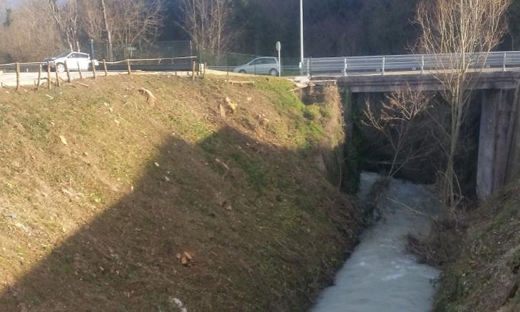 il Gruppo d’Intervento Giuridico: "A Matelica nessuna autorizzazione paesaggistica per il taglio degli alberi" il Gruppo d’Intervento Giuridico: "A Matelica nessuna autorizzazione paesaggistica per il taglio degli alberi"