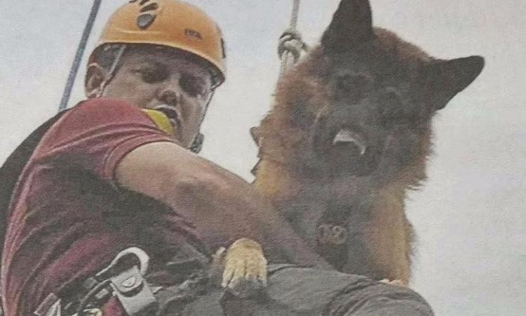 Crollo di Genova, l'impegno dei vigili del fuoco del comando di Macerata Crollo di Genova, l'impegno dei vigili del fuoco del comando di Macerata