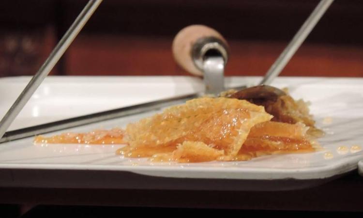 Montelupone: il maltempo non ferma Apimarche 2018 Montelupone: il maltempo non ferma Apimarche 2018