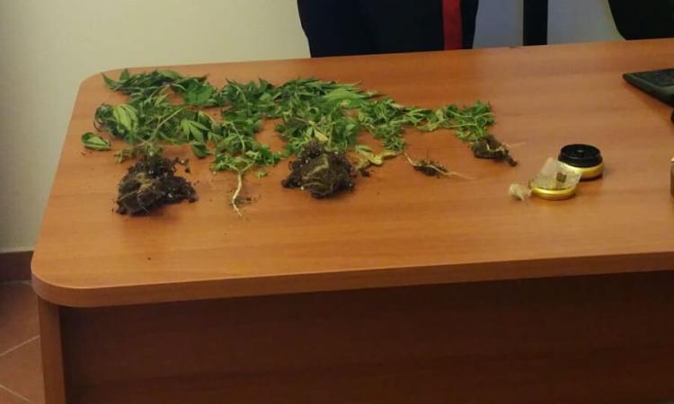 Cingoli, sedicenne trovato con la droga: denunciato Cingoli, sedicenne trovato con la droga: denunciato