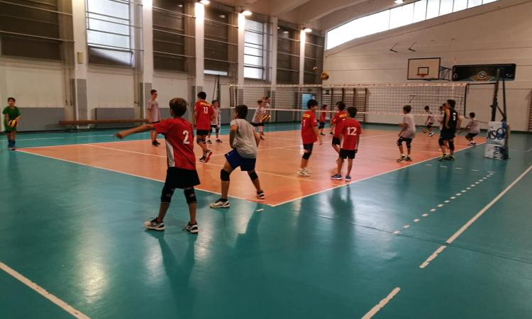 Iniziata lunedì la seconda settimana per il Volley Macerata Iniziata lunedì la seconda settimana per il Volley Macerata