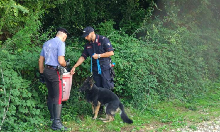 Macerata, ancora controlli nelle zone calde