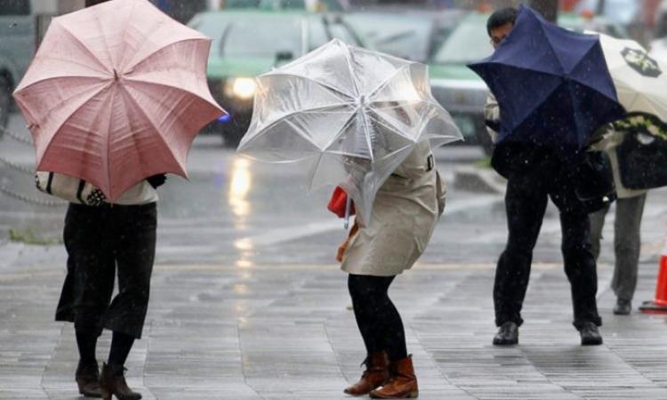 Il caldo estivo ha le ore contate: nei prossimi giorni l'autunno e un crollo delle temperature Il caldo estivo ha le ore contate: nei prossimi giorni l'autunno e un crollo delle temperature