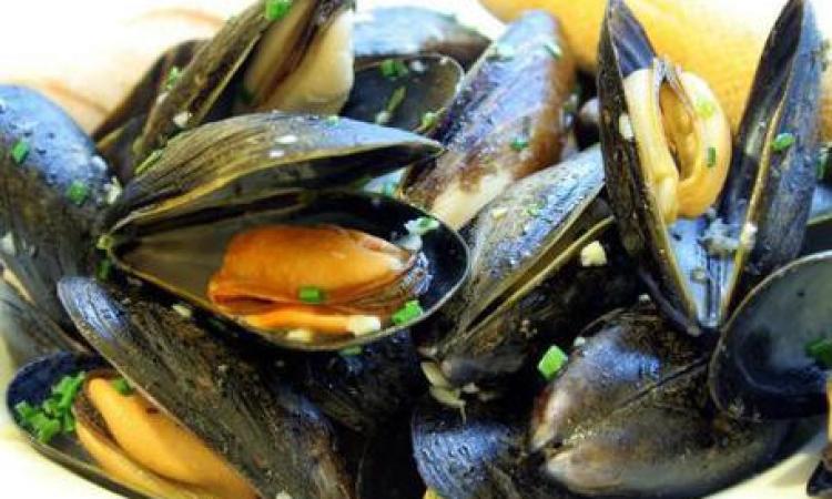 Revocata l'ordinanza che vietava la raccolta e il consumo delle cozze Revocata l'ordinanza che vietava la raccolta e il consumo delle cozze
