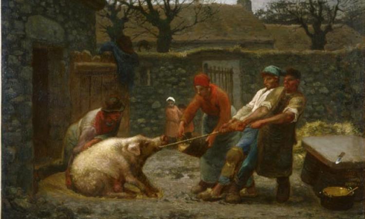 "Fanno la pista" e vengono denunciati: in quattro a processo per maltrattamenti di animale
