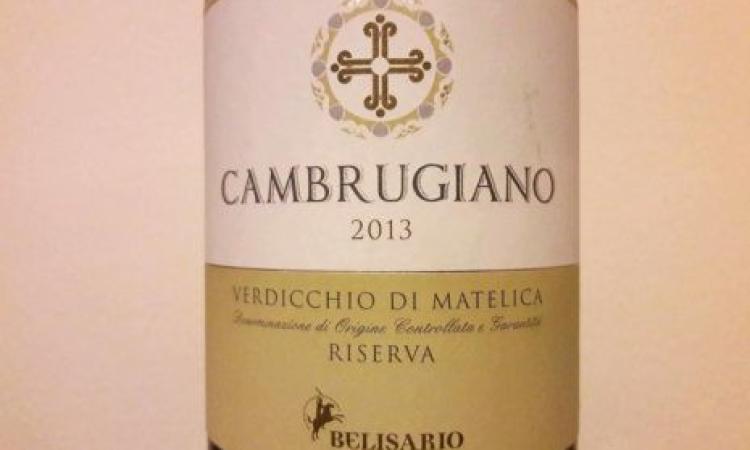 La guida ai vini d’Italia di Doctor Wine incorona il Verdicchio di Matelica La guida ai vini d’Italia di Doctor Wine incorona il Verdicchio di Matelica