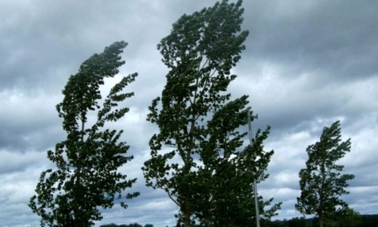 Marche, perturbazioni in arrivo: sarà un Natale tra burrasche e piogge, con temperature in rialzo Marche, perturbazioni in arrivo: sarà un Natale tra burrasche e piogge, con temperature in rialzo
