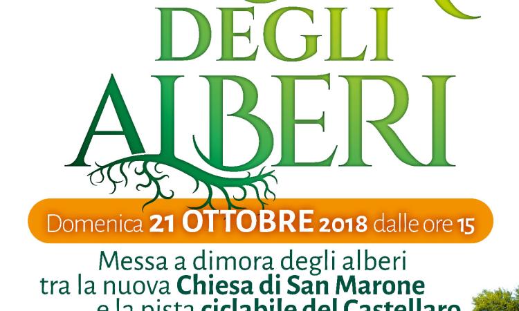 A Civitanova Marche tutto pronto per la Festa degli Alberi A Civitanova Marche tutto pronto per la Festa degli Alberi